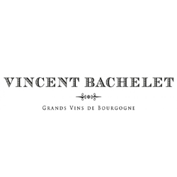 Domaine Vincent Bachelet Domaine Vincent Bachelet
